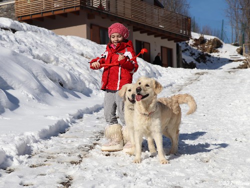 LIMONE PIEMONTE